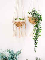 Load image into Gallery viewer, Plant Hanger - Bitan
