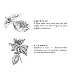 Load image into Gallery viewer, Grapefruit + Spearmint
