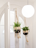 Load image into Gallery viewer, Plant Hanger - Bitan
