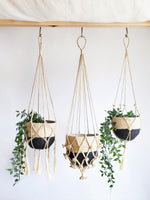 Load image into Gallery viewer, Plant Hanger - Bitan
